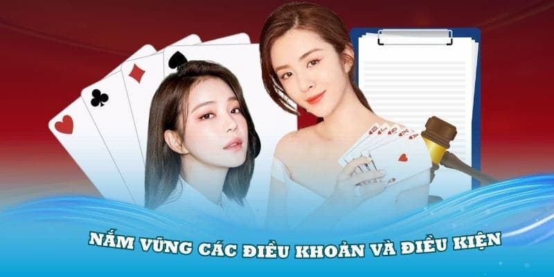 Cam kết bảo mật và xử lý tranh chấp theo quy định điều khoản điều kiện