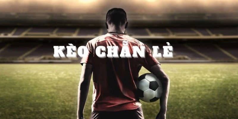 Lý do nên chọn kèo chẵn lẻ khi chơi tại soi kèo