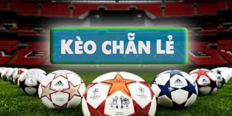 Mẹo tăng tỷ lệ thắng với kèo chẵn lẻ tại soi kèo