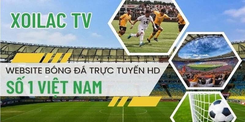 Tại sao nên theo dõi Xôi lạc TV khi soi kèo casino?