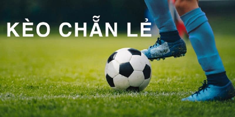 Tổng quan chi tiết về kèo chẵn lẻ